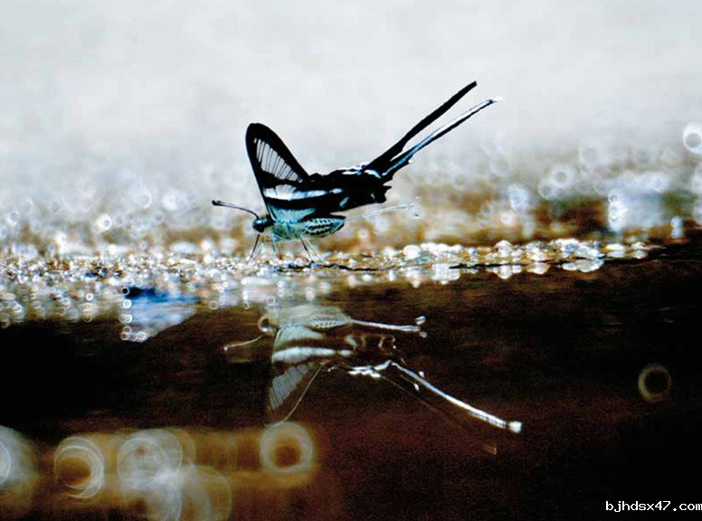 1551769941679496.jpg 文摘1_副本.jpg