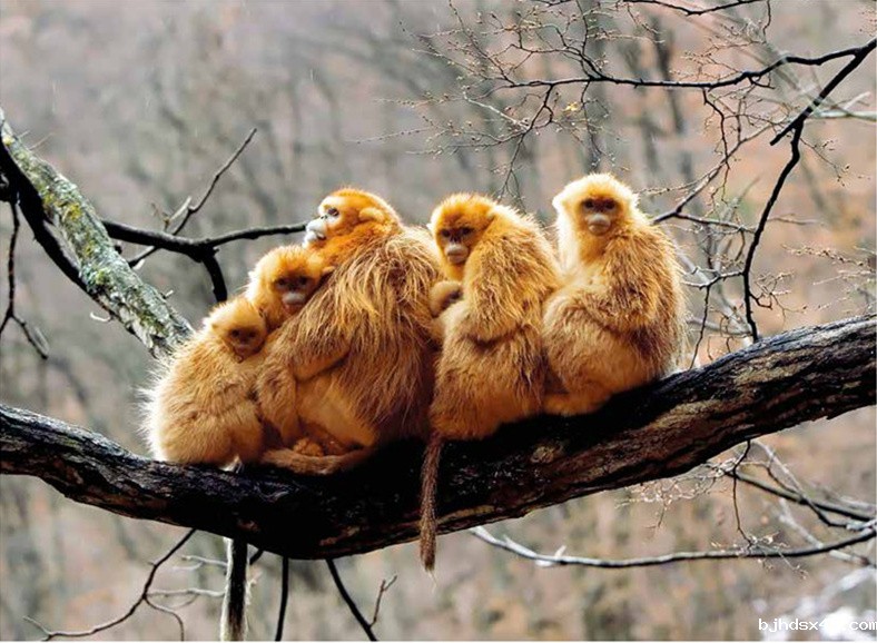 1551769978437372.jpg 文摘4_副本.jpg