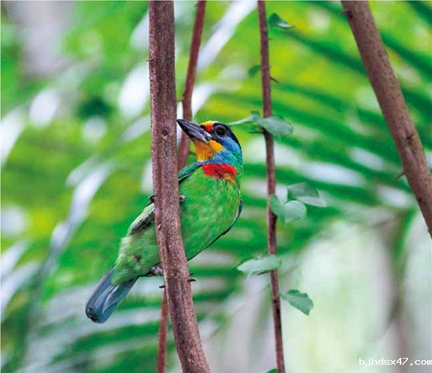 1551770010499477.jpg 文摘10_副本.jpg