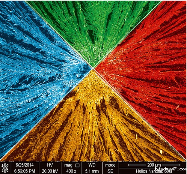 1551770022638837.jpg 文摘11_副本.jpg