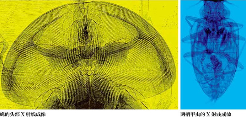 1551770046787556.jpg 文摘13_副本.jpg