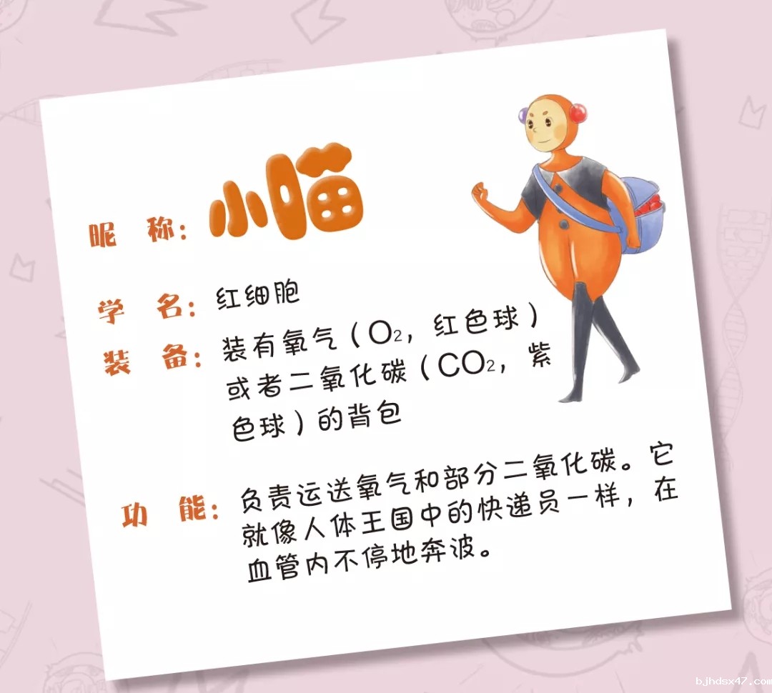 1581404740323505.jpg 640.webp (1).jpg