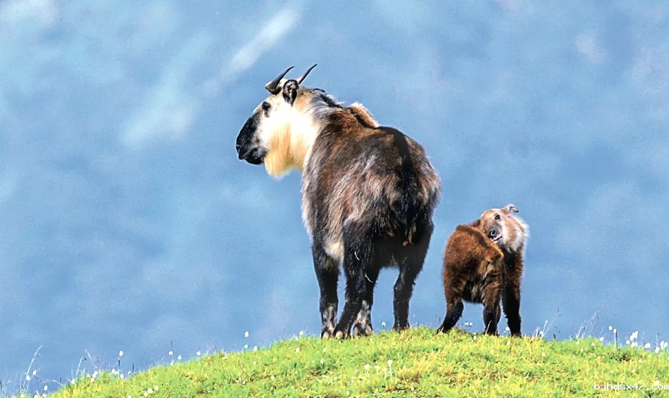 1588139267785156.jpg 640.webp.jpg