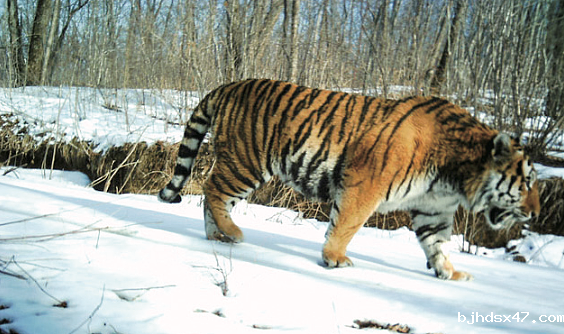 1588139291973510.png 640.png