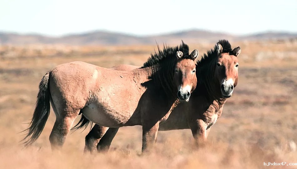 1588139323434166.jpg 640.webp (1).jpg