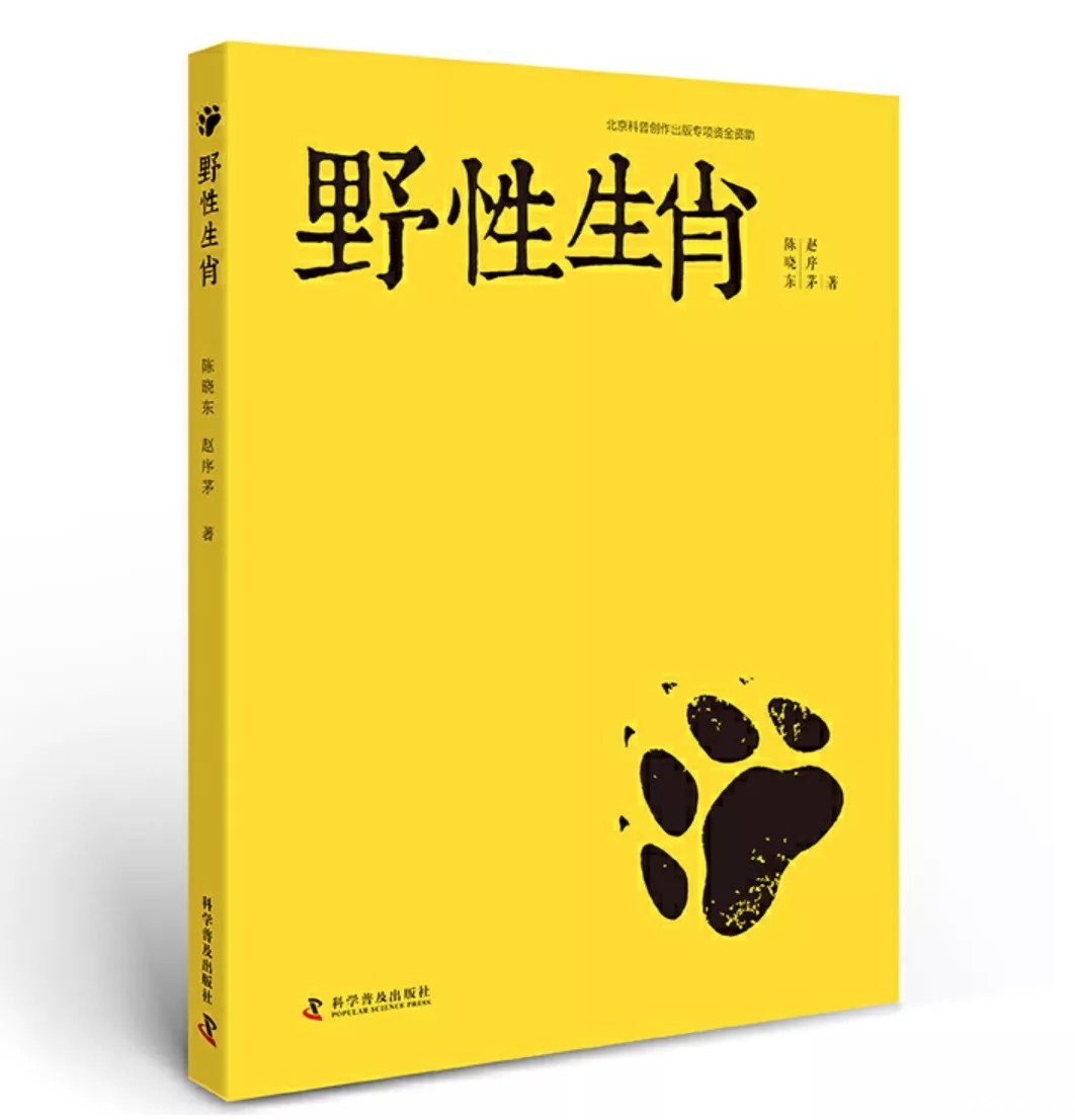 1588139361332408.jpg 640 (1).webp.jpg