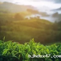 1589522106437667.jpg 640.webp (1).jpg