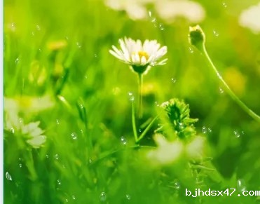 1589522135729276.jpg 640.webp (2).jpg