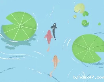 1589522154174115.jpg 640 (1).webp.jpg