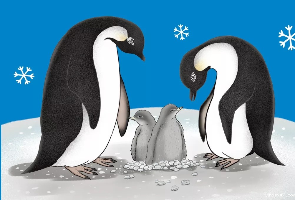 1596779529337332.jpg 640 (1).webp.jpg